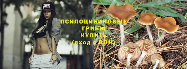 мет Корсаков