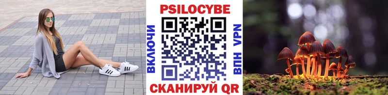 Галлюциногенные грибы мицелий  что такое   гидра маркетплейс  Агрыз 